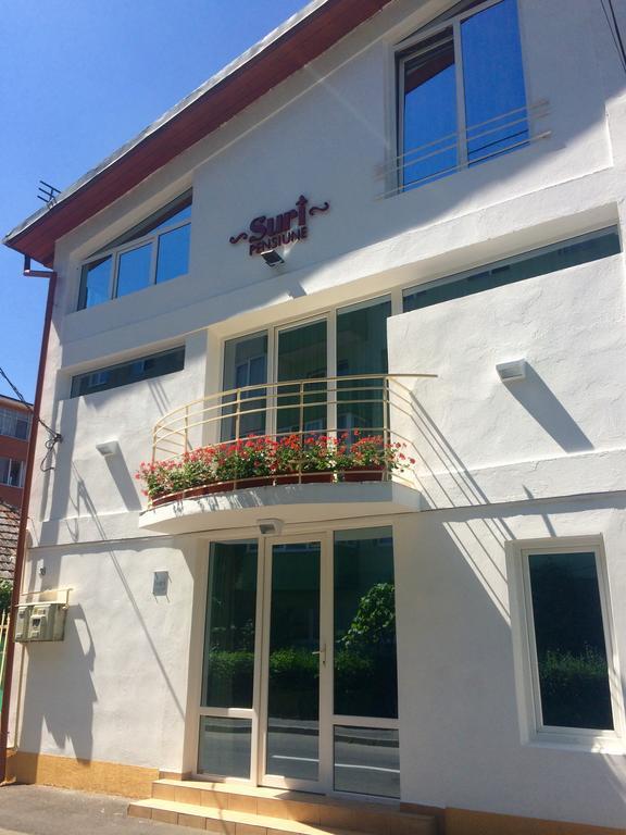 Suri Guesthouse Брашов Экстерьер фото